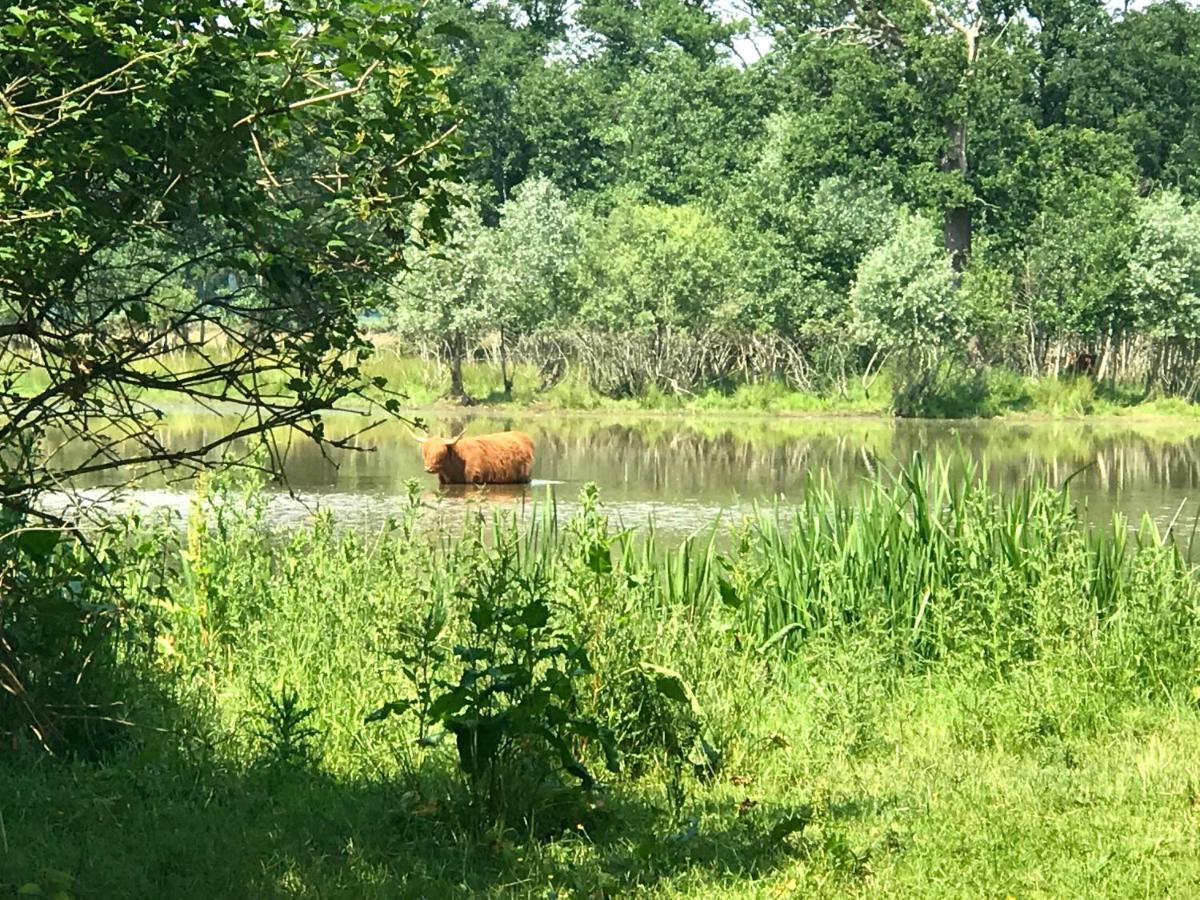 Willa In De Tuin In Gees Zewnętrze zdjęcie