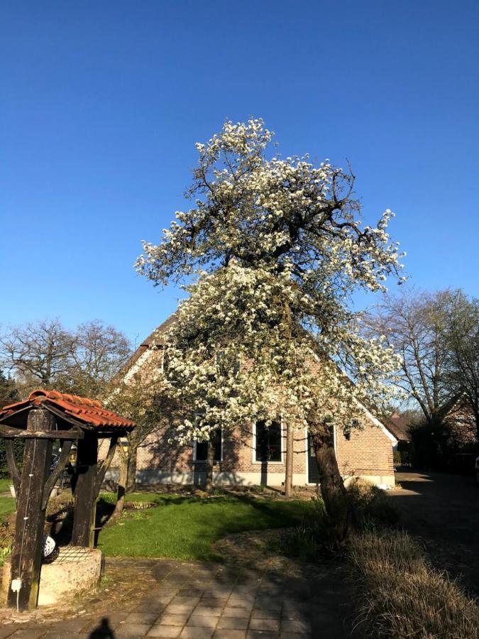 Willa In De Tuin In Gees Zewnętrze zdjęcie